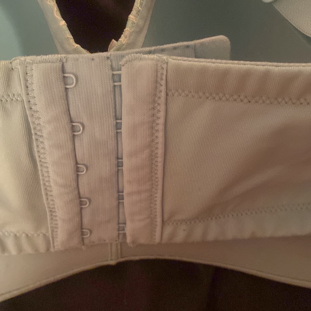 Cacique Razorback bra - Picture 4 of 6